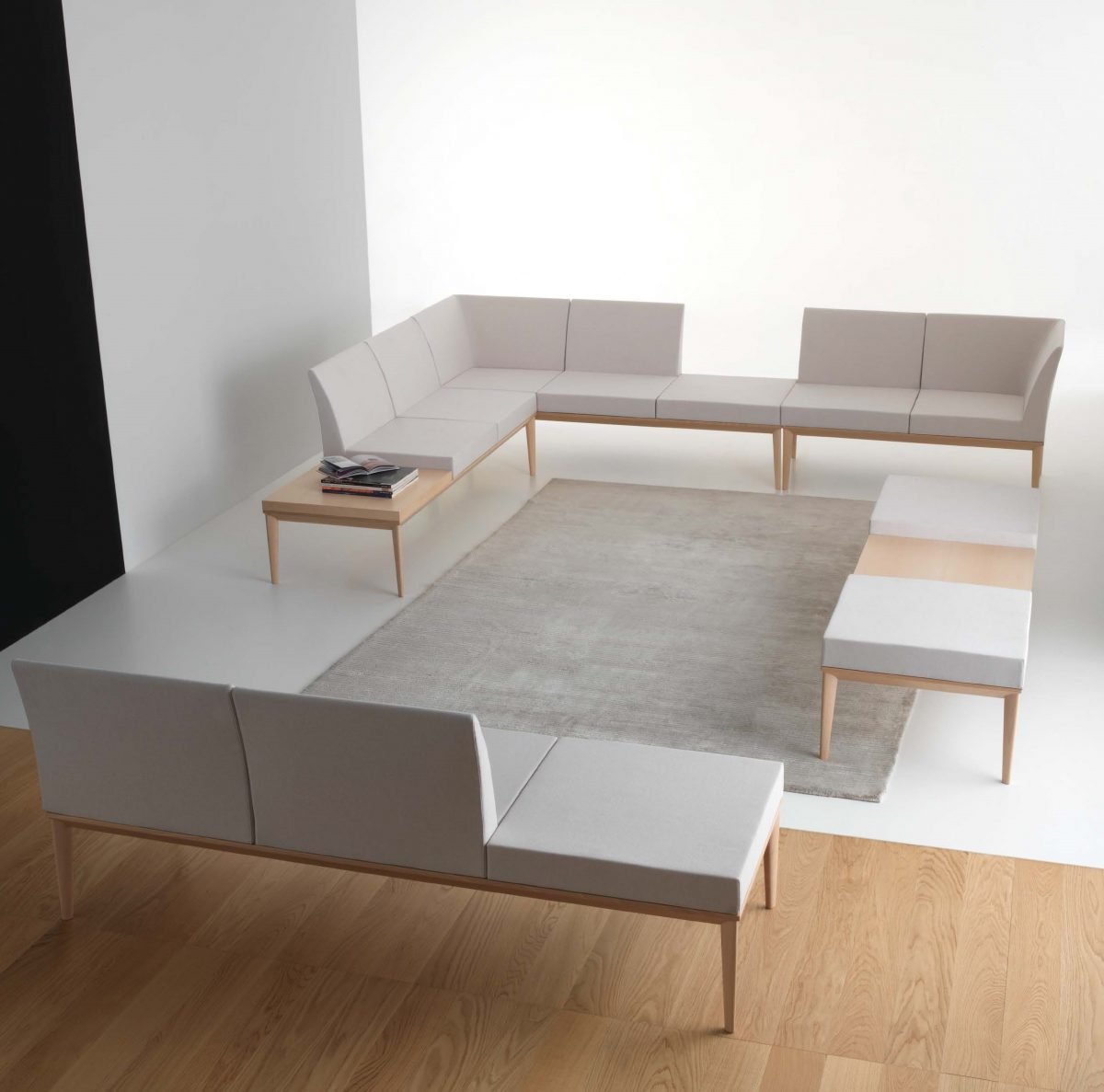 Zelig Modular System